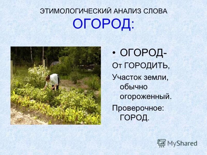 Морфемный анализ слова замирает. Деревня слово. Как делается анализ текста по литературе. Бунин помню долгий зимний вечер анализ стихотворения. Этимологический анализ.