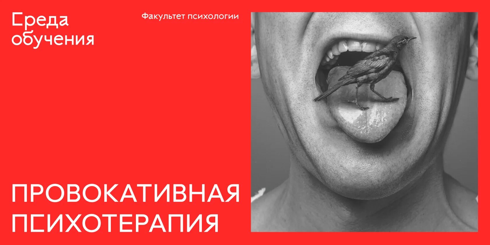 Провокативная психотерапия. Провокативная (провокационная) психотерапия. Провокационная терапия в психологии. Провокативная психология книги. Провокативная фрэнк