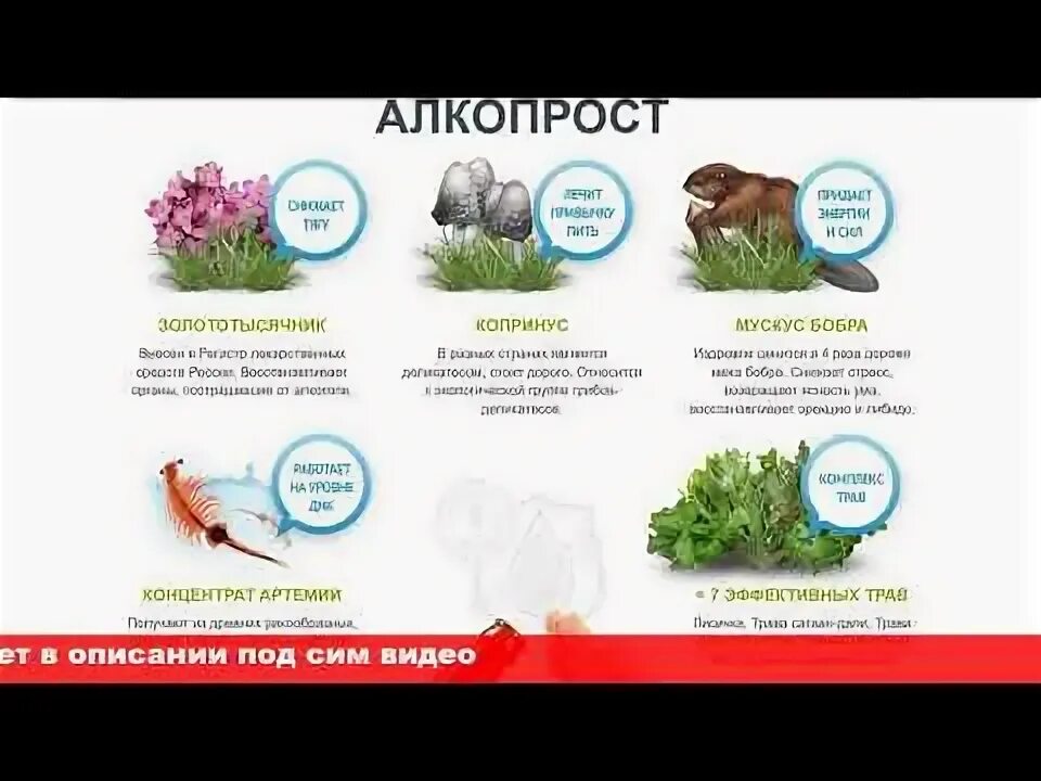 Отзывы алкопроста
