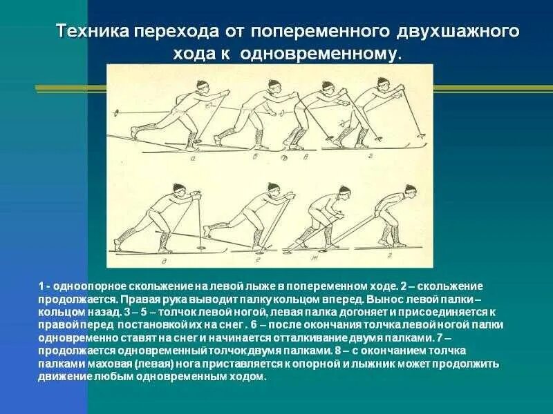 Техника выполнения попеременных ходов лыжи. Техника одновременного двухшажного хода. Попеременный двухшажный ход на лыжах. Попеременный двухшажный ход техника хода. Попеременный четырехшажный ход.