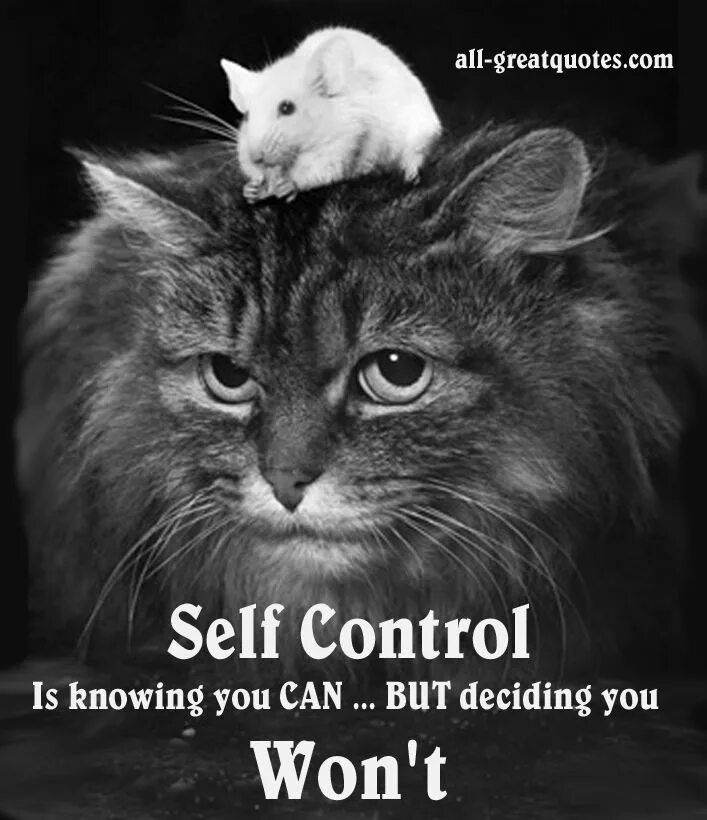 Self controlling. Self control. self control н. май селф контрол. self control любовь.