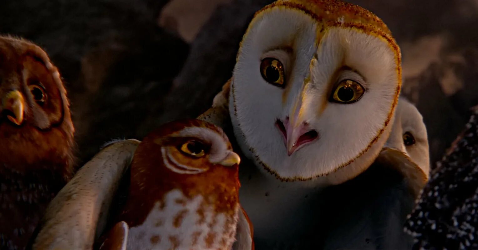 Ga hoole guardians the owls legend. Legend of the Guardians the Owls of ga Hoole. Легенды ночных стражей мультфильм 2010. Легенды ночных стражей Зак Снайдер. Ночные Стражи 2010.