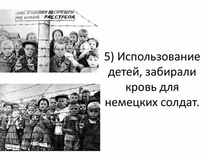 Дайте характеристику нацистского оккупационного режима
