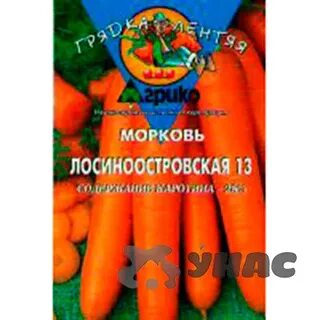 Морковь лосиноостровская характеристика и описание