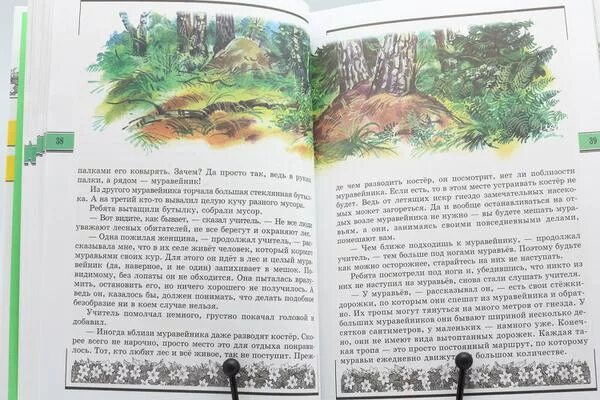 Книжка великан на поляне. Великан великан на поляне книга книга. Книга великан на поляне разговор в лесу. Книга великан на поляне рассказ шум в лесу. Великан на поляне.
