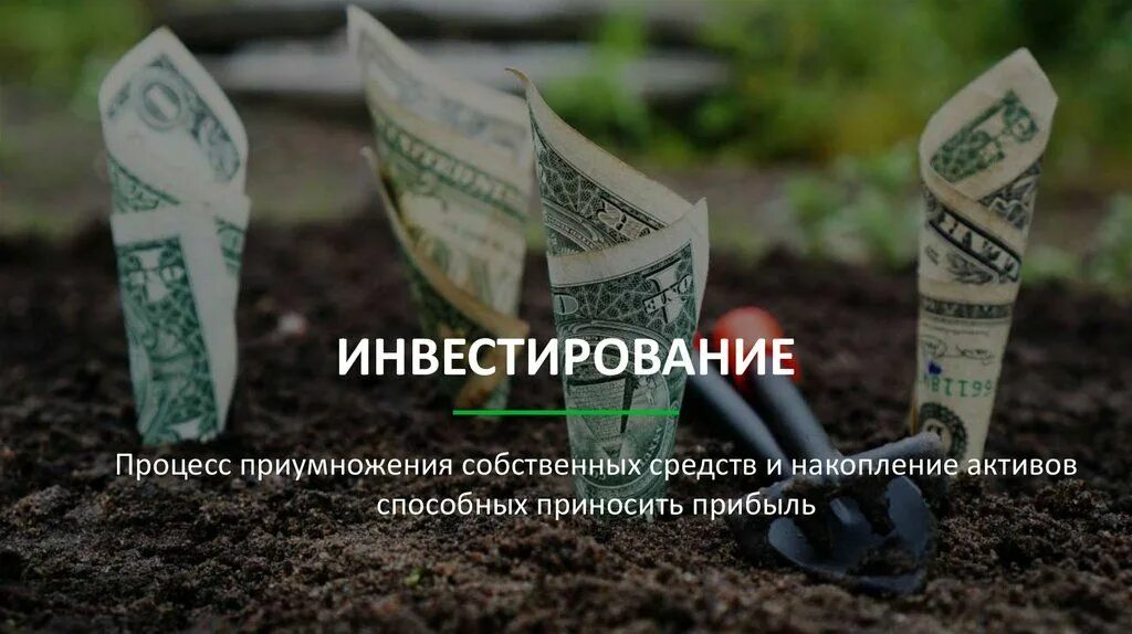 прочитайте текст экскурсии. цитаты про деньги. цитаты про счастье. цитаты про жажду жизни. деньги не портят человека.