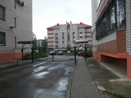 Зеленая великий новгород