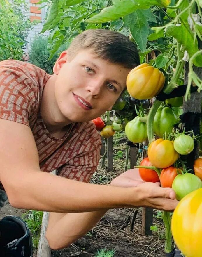 Огородник из рязани сорта томатов. Томаты Бориса Сонина. Молодые помидоры.