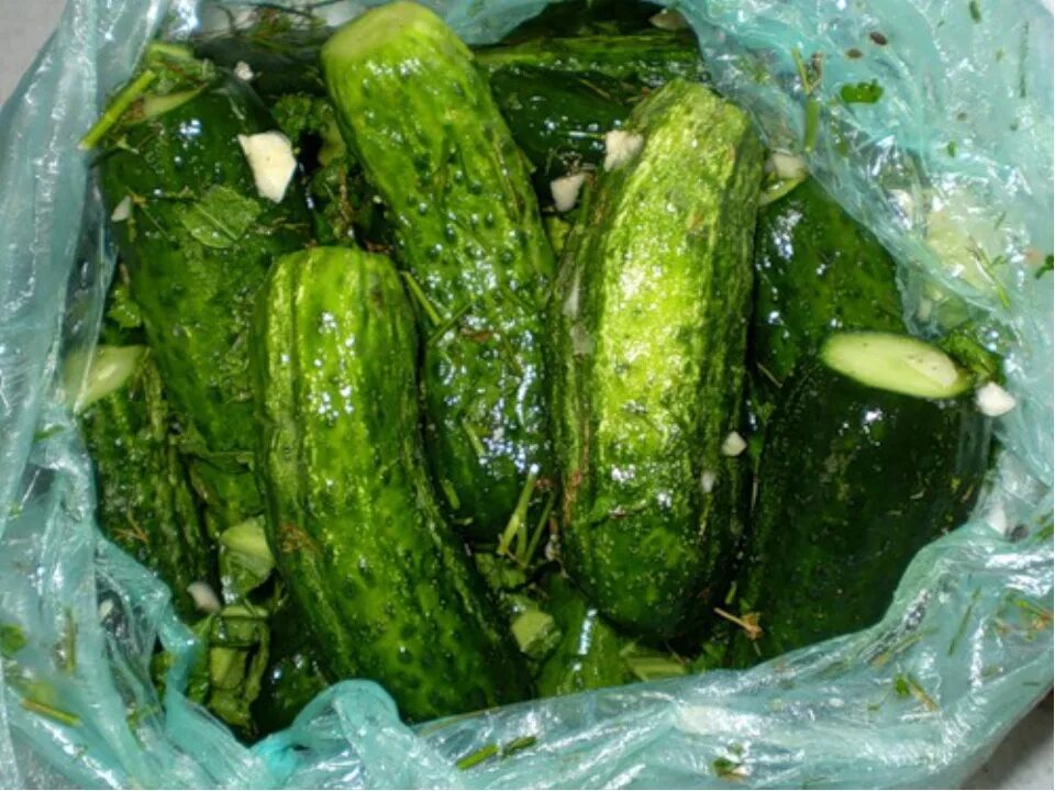 Огурцы в пакете рецепт быстрого. Малосольные огурцы в пакете с чесноком. tuzlangan bodring. быстрые малосольные огурчики в пакете. малосольные луховицкие огурцы.