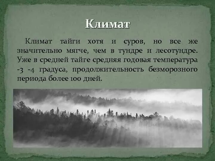 Климатические характеристики тайги. Тайга климат температура осадки. Климат тайги. Климат тайги в России. Климатические условия тайги.