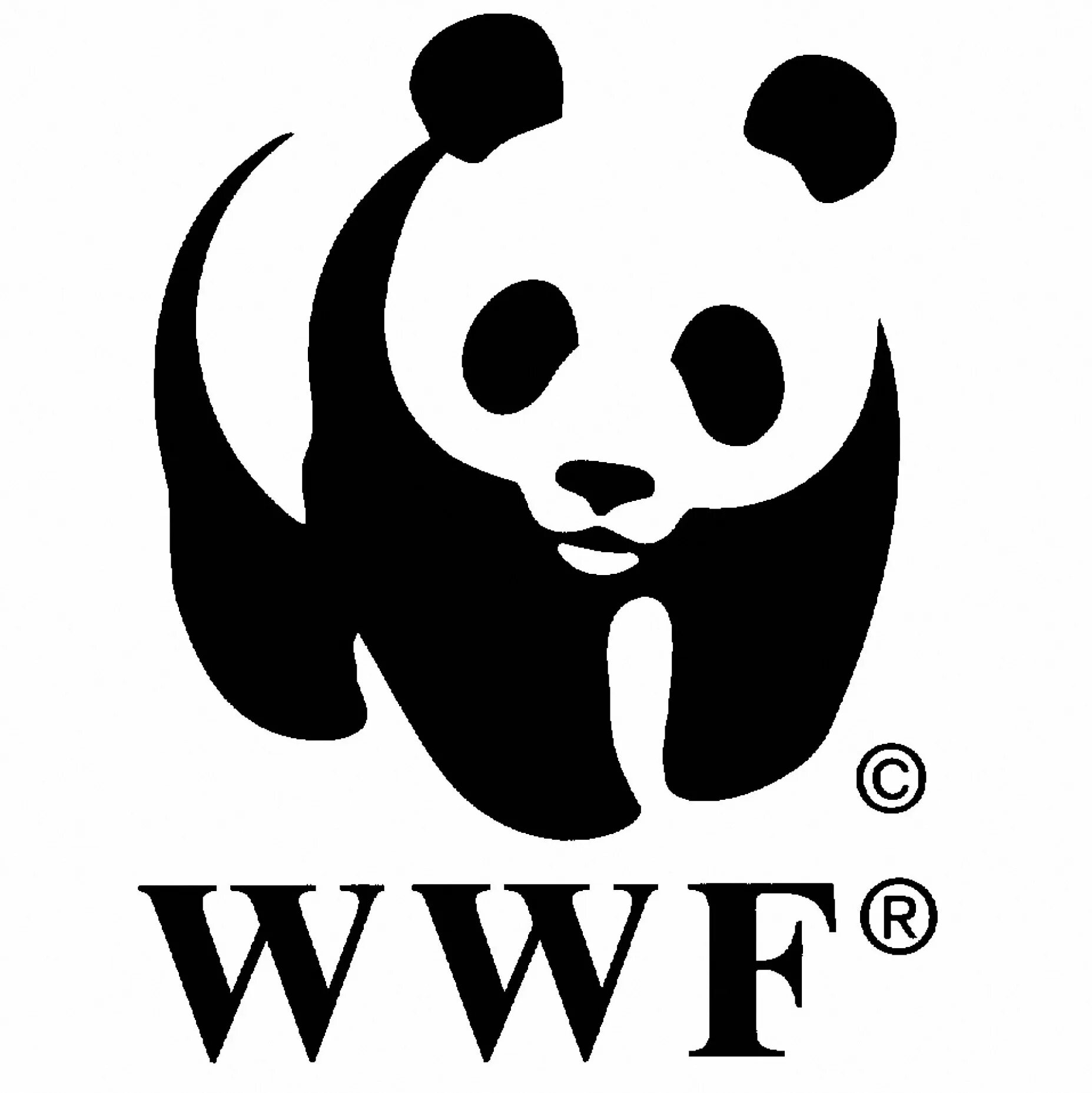 Фонд природы символ. Всемирный фонд дикой природы WWF. Панда Всемирный фонд дикой природы. Панда символ WWF. Всемирный фонд дикой природы эмблема.