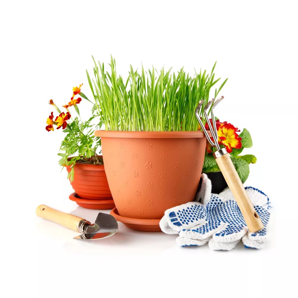 Инструменты для огорода и дачи. Садовый инвентарь. Инструменты для сада и огорода. Цветы в сапогах резиновых. Товары для сада и огорода.