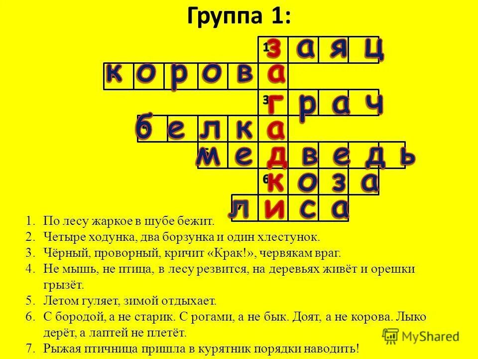 хорошо в лесу в жаркий полдень высокие сосны. экваториальные леса растения и животные. лето солнце. утреннее солнце. солнце после дождя.