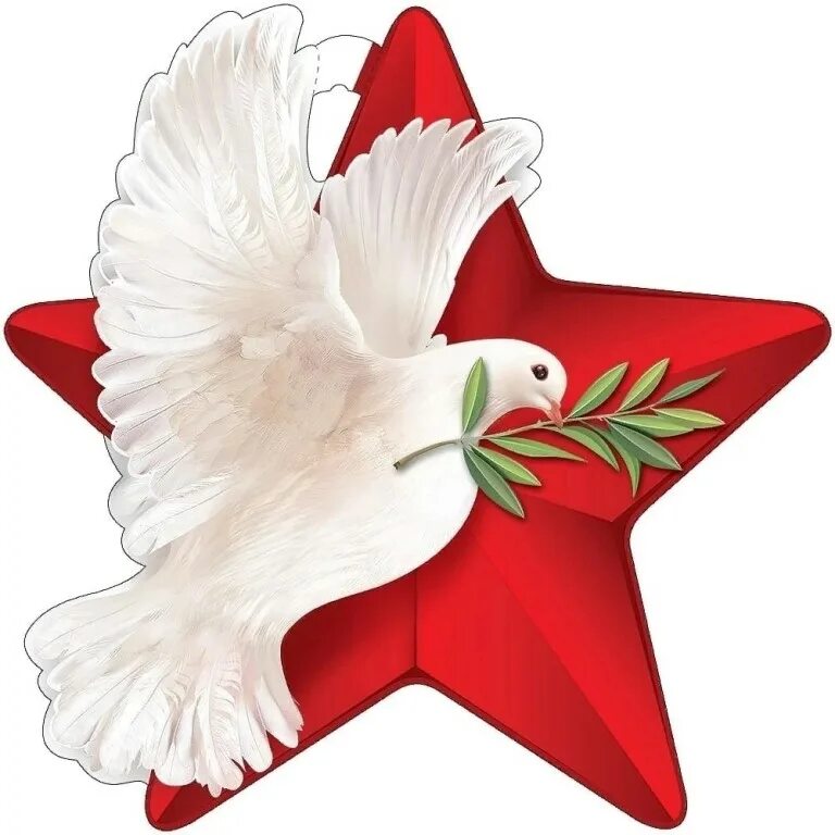 Голубь. 23 голубя. 23 голубя. Голубь на скейте. Пара голубей.