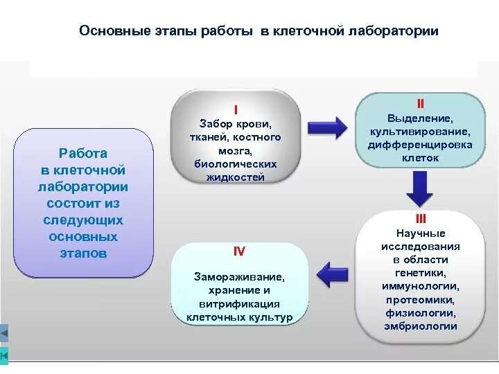 Этапы работы в лаборатории. Основные задачи лаборатории. Принципы работы в лаборатории. Базовые навыки работы в клеточной лаборатории.