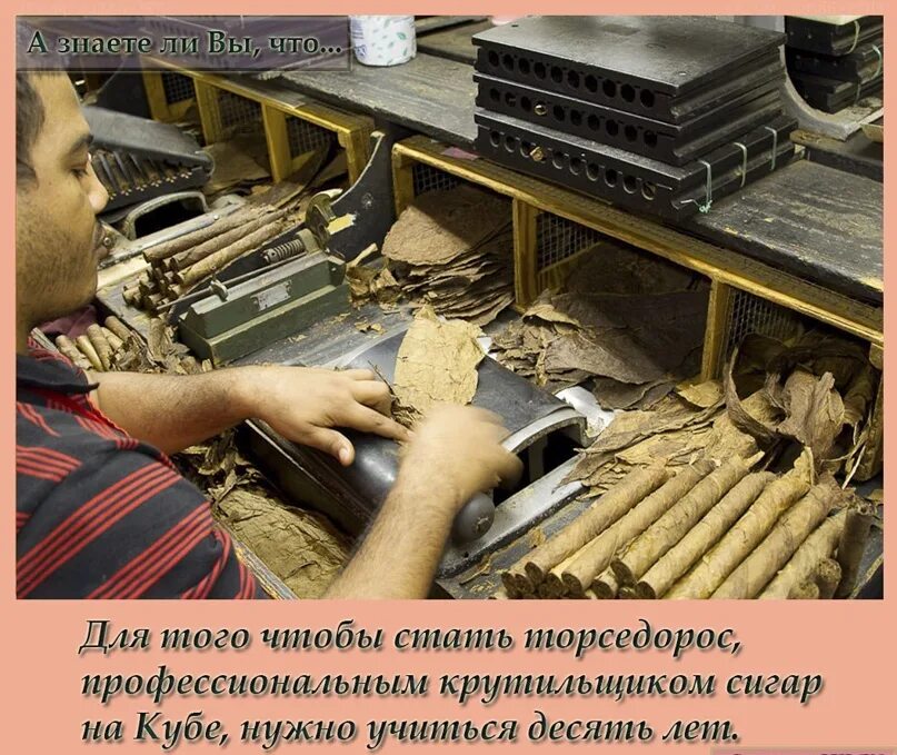 Как сделать сигару из листьев табака