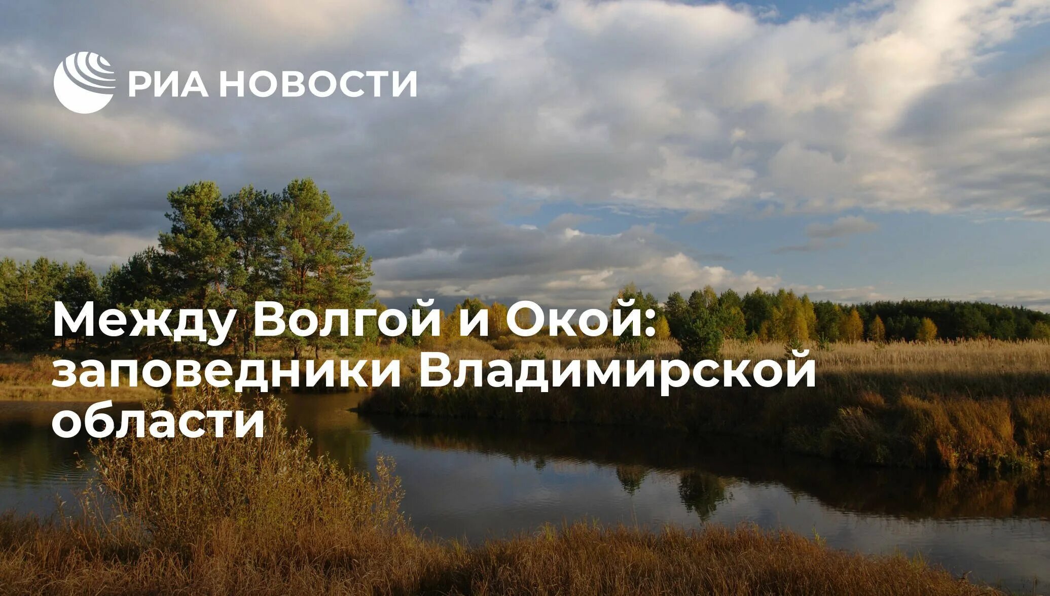 Заповедник во владимирской области. Заповедники Владимирской области. Заповедники и заказники Владимирской области. Заповедник Мещера Владимирская область. Сообщение о заповеднике Владимирской области.