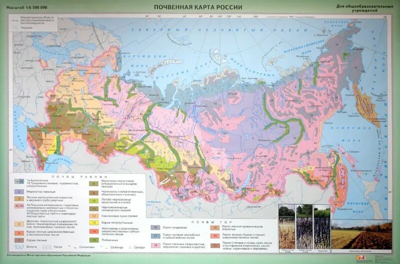 Контурная карта почв россии. Почвы России 8 класс география атлас. Карта почв России 8 класс атлас. Карта почвы России 8 класс география. Почвы России карта 8 класс география атлас.