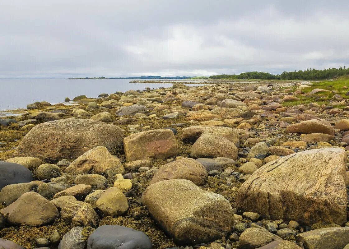 Тип белого моря. Белое море соловки. соловки камни берег. баренцево море соловки. уоншунский берег белого моря.
