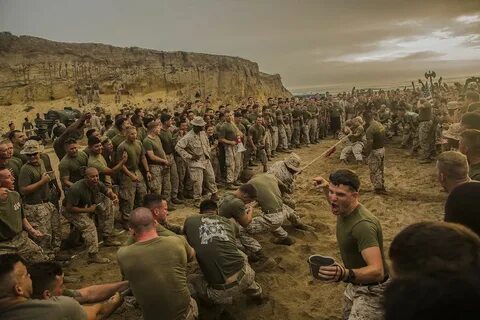Лучшее военное видео