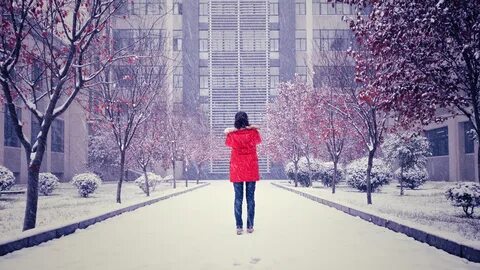 Snowfall remix