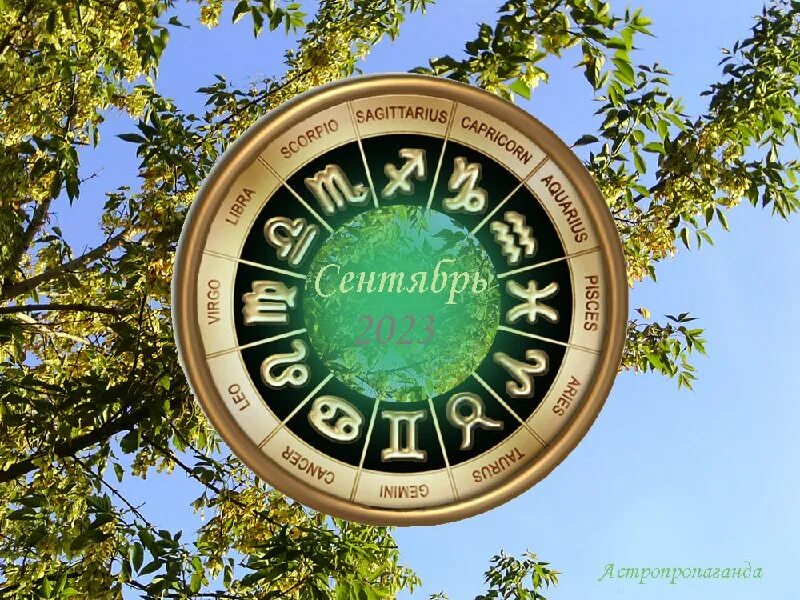 Двенадцать 2023. Ак-12 автомат 2023. Двенадцать 2023. Новый ак 12 2023 года. Инфиникс ноут 12 2023.