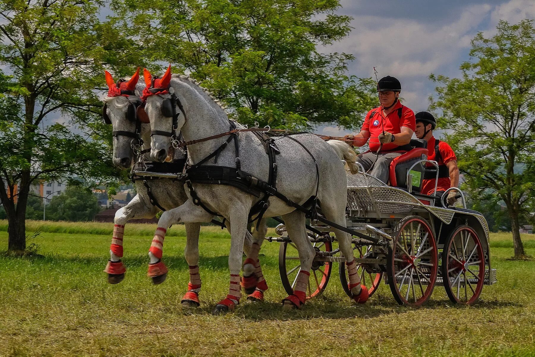 Driving horse