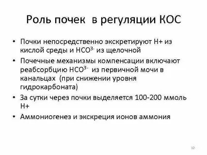 Важную роль в регуляции