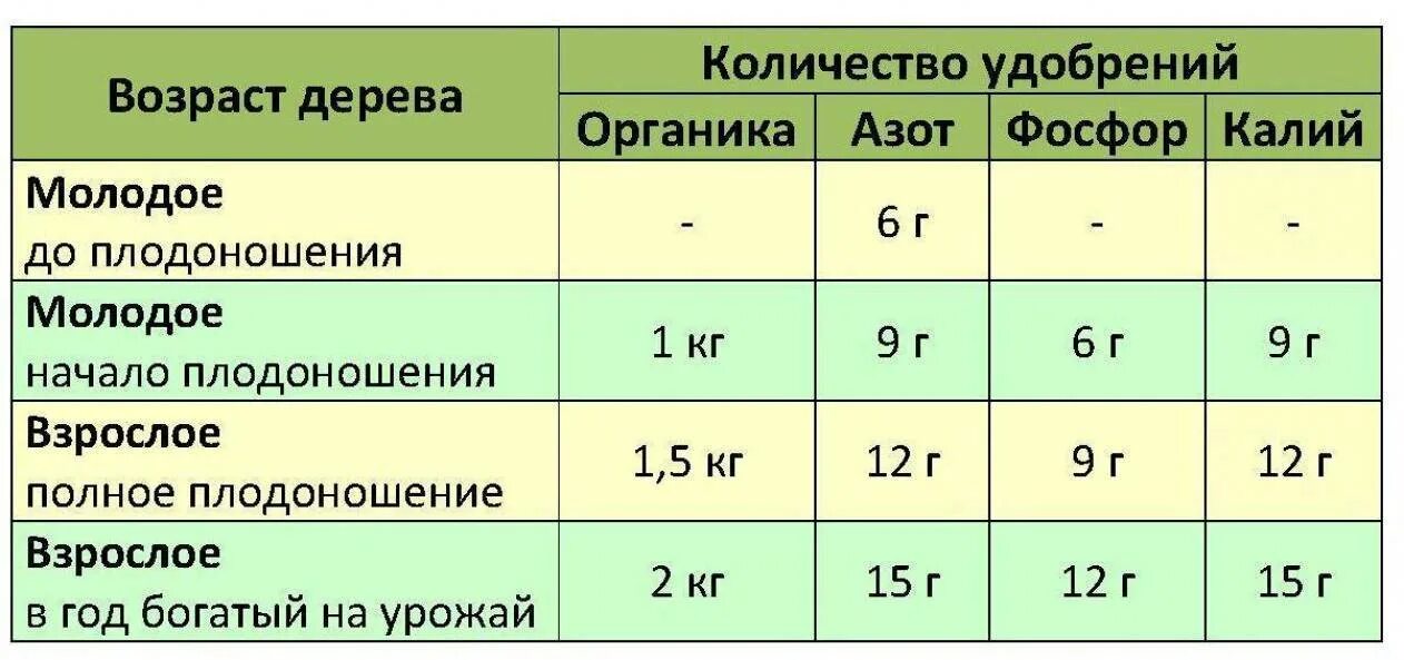 Селитра аммиачная нормы внесения на га. Таблица внесения удобрений весной. таблица нормы внесения удобрений. дозы внесения минеральных удобрений для плодовых деревьев. нормы внесения удобрений под плодовые деревья весной.