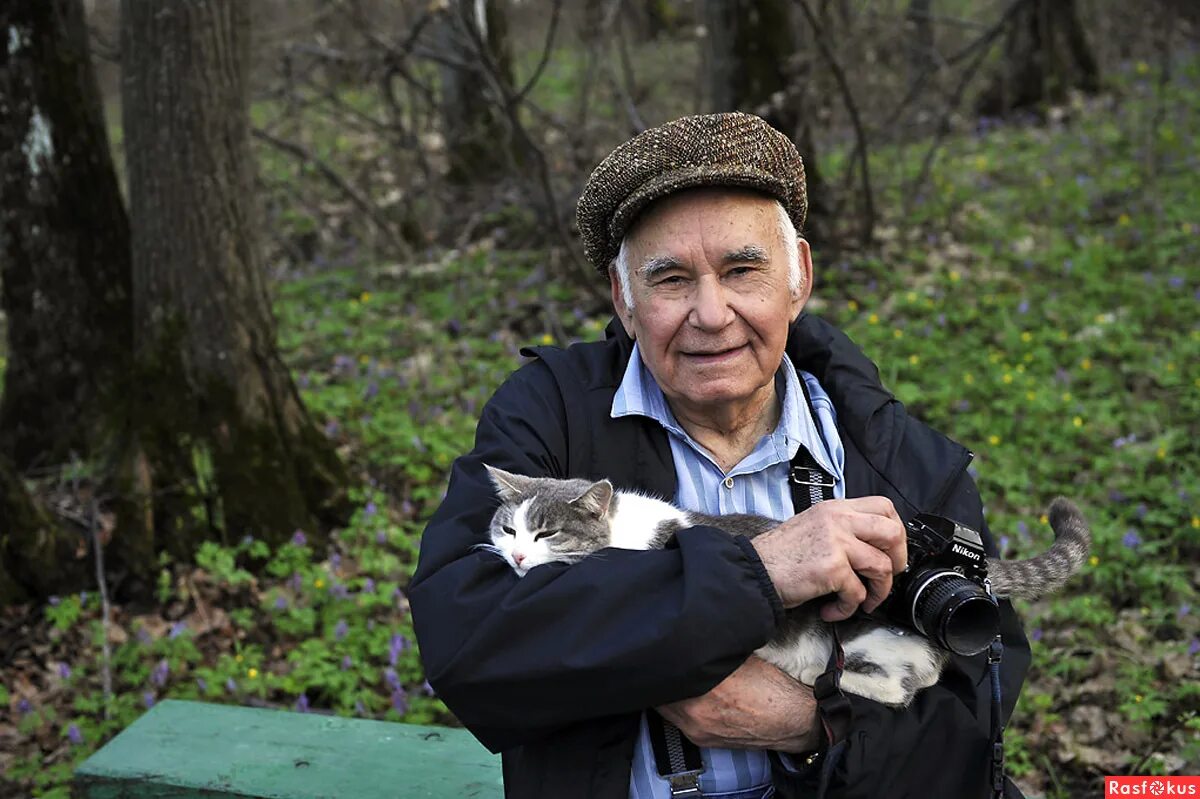 Новая жизнь жар песков