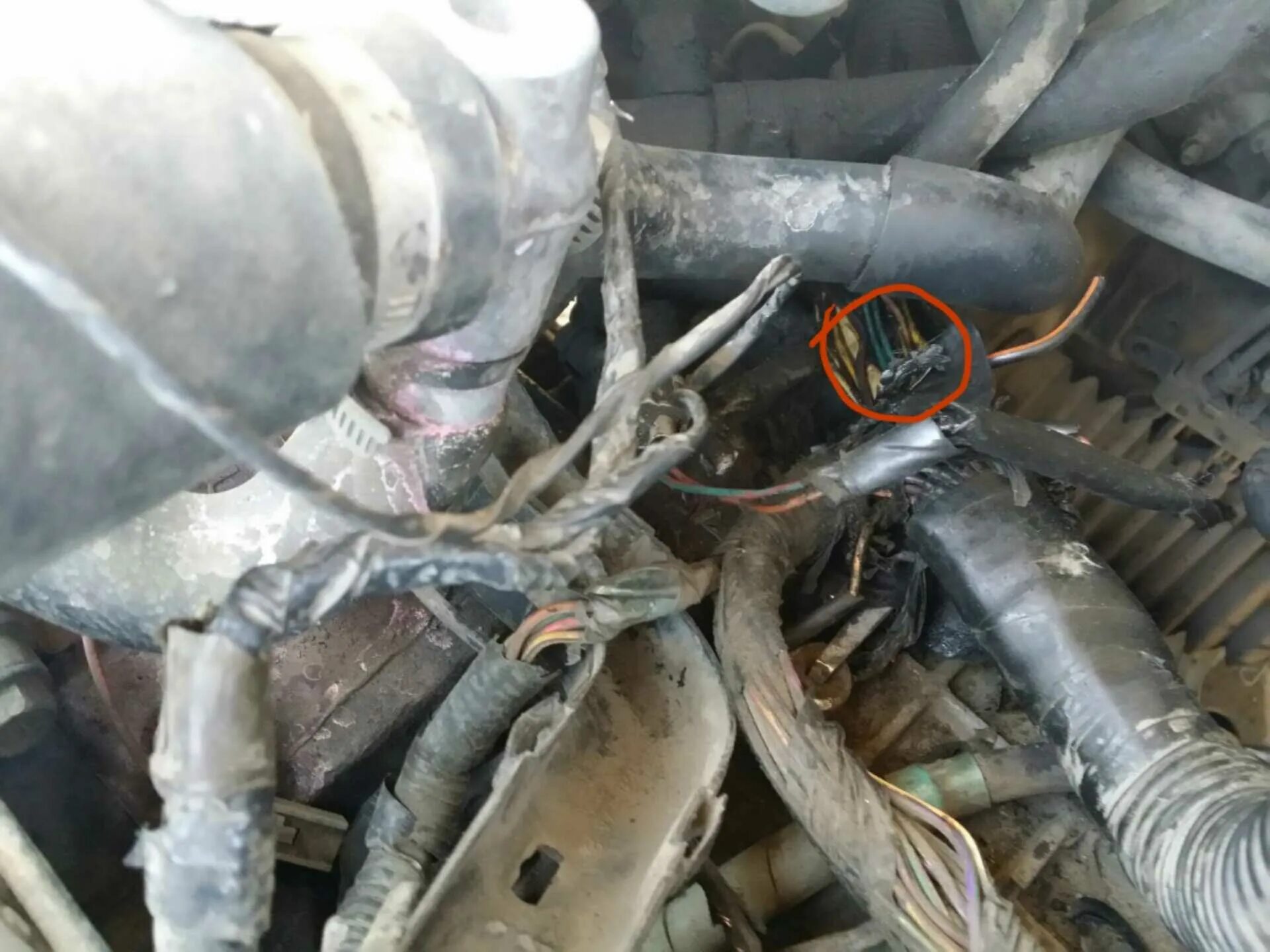 Глохнет камаз евро. Не заводится камаз 6520 евро 2. Глохнет камаз евро. Сеточка тнвд камаз евро 5. Топливный насос камаз 55111.