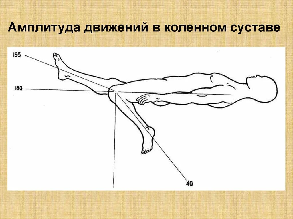 Ограничение движения в коленном суставе. Амплитуда движений в суставах. Амплитуда движения это. Амплитуда движения коленного. Амплитуда движение в коленых суставах.