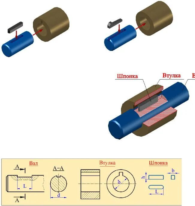 Соединение валов шпонкой. Втулка под шпонку на вал 25. Втулка под шпонку 25 мм. Чертеж втулки под шпонку. Втулка соединительная гидромотора sx122.
