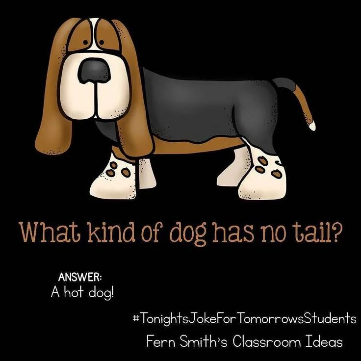 Where has the dog. What Dog has no Tail ответ. What Dog has no Tail рисунок. Dog Riddle. Собак what a Dog down.