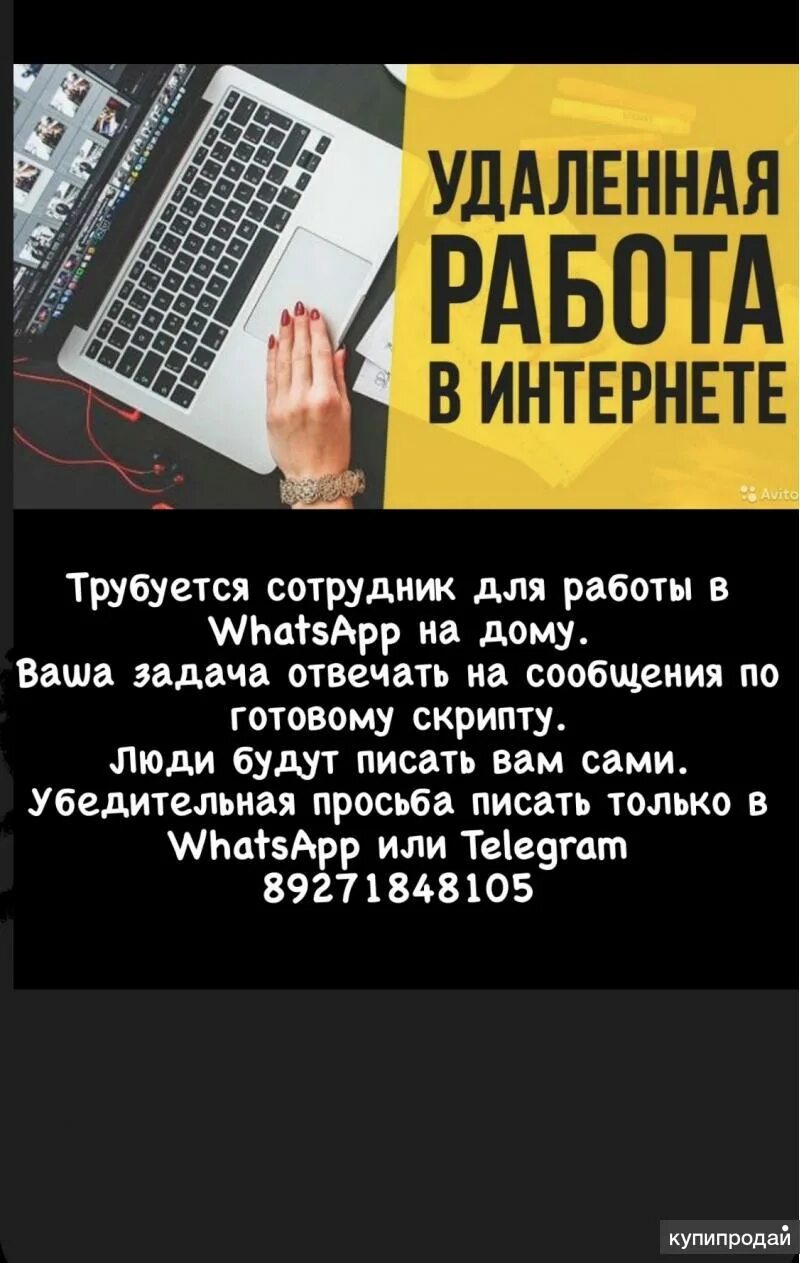 Ассистент саранск. Ассистент саранск