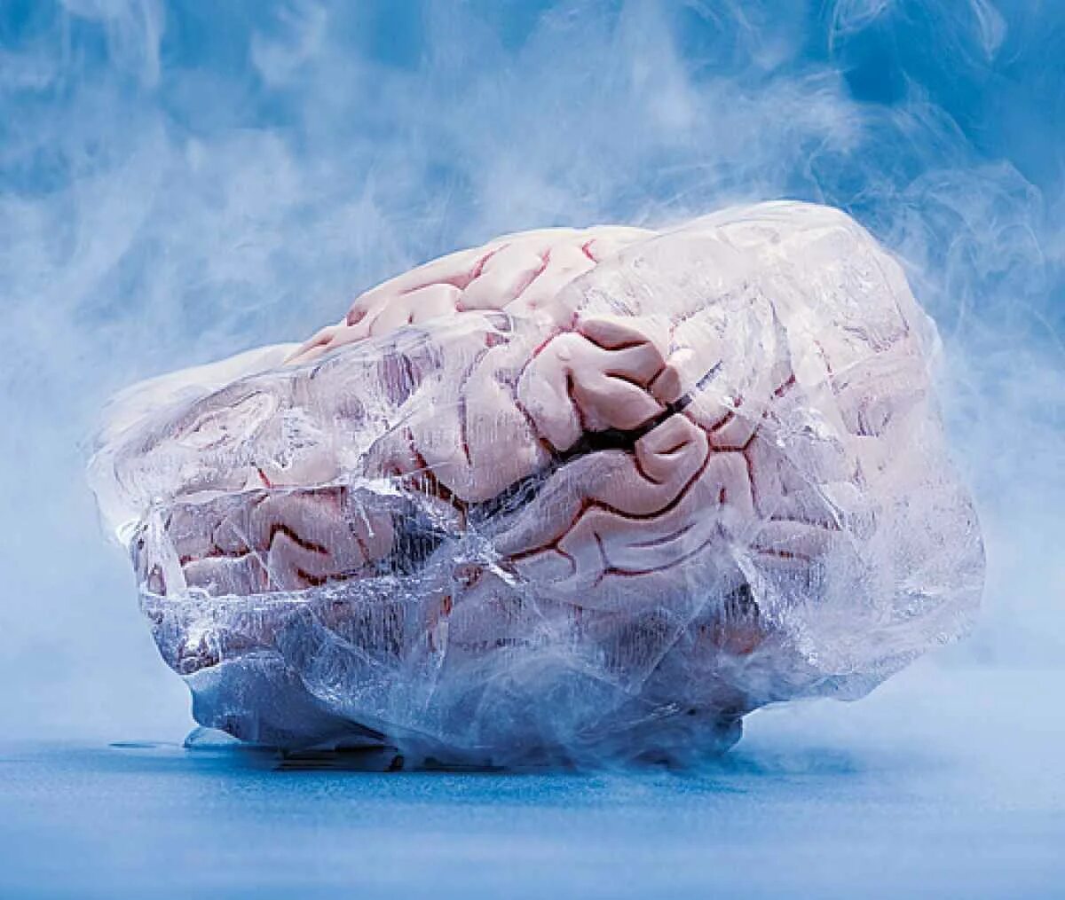 Article brain