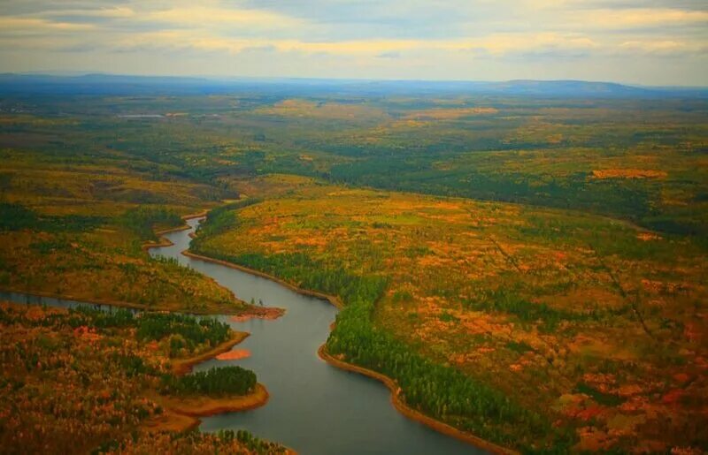 Чем отличается природа западной сибири. Тайга Западно сибирской равнины. Западно Сибирская равнина Обь. Западно Сибирская равнина Новосибирск. Тайга и река Обь.