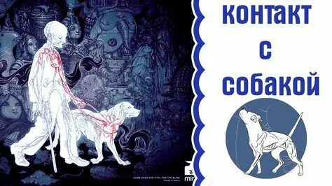 Как пройти через собаку. Как пройти через собаку