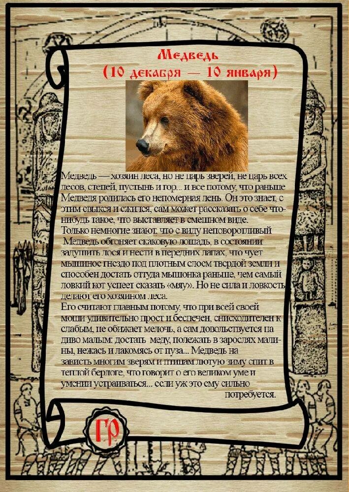 Тотем животного по дате рождения. Славянский гороскоп по годам. славянский гороскоп животных. тотемное животное по славянскому календарю. славянский гороскоп года.