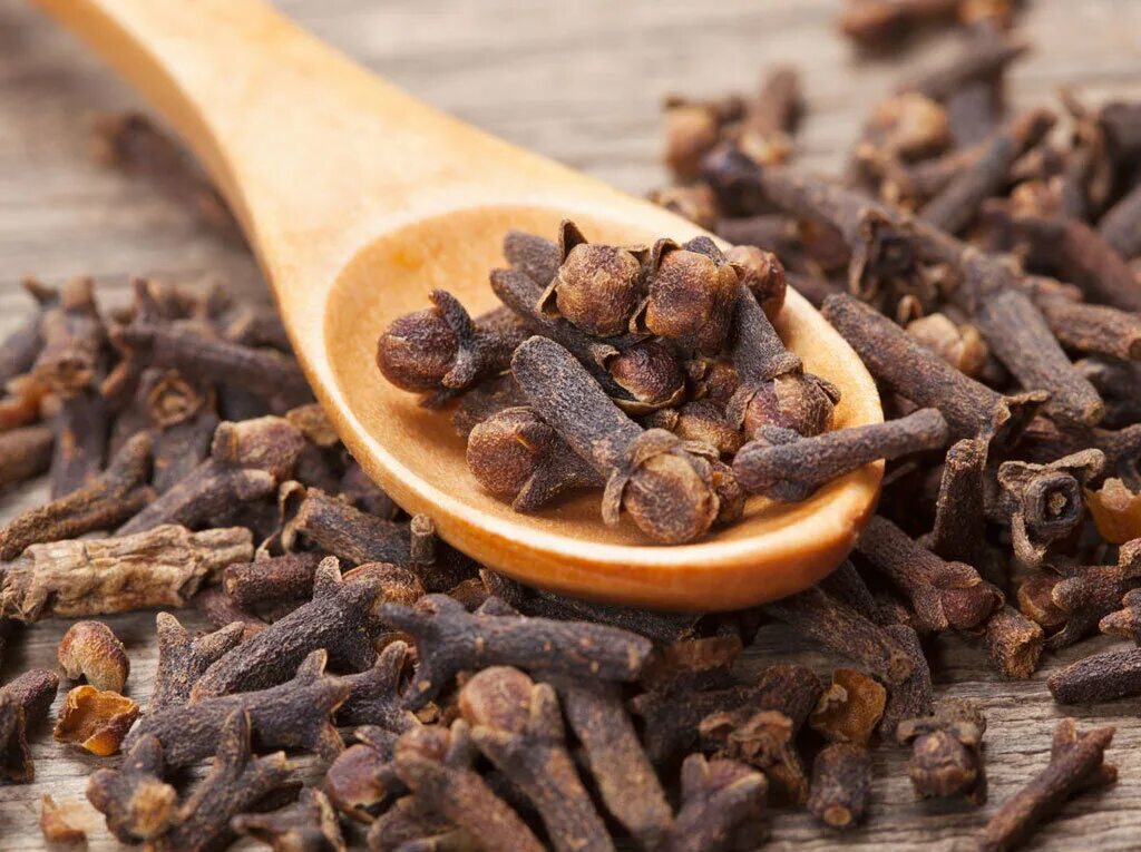 Цветы гвоздики приправа. Гвоздичное дерево пряность. Гвоздика пряность. Гвоздика специя. Гвоздика сушеная.