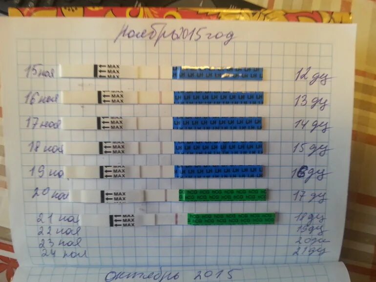Тест для овуляции для зачатия ребенка. Дневник планирования беременности. Овуляция и зачатие. Витамины для овуляции и зачатия для женщин. Сдвинулась овуляция