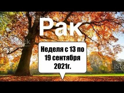 С 13 по 19 сентября