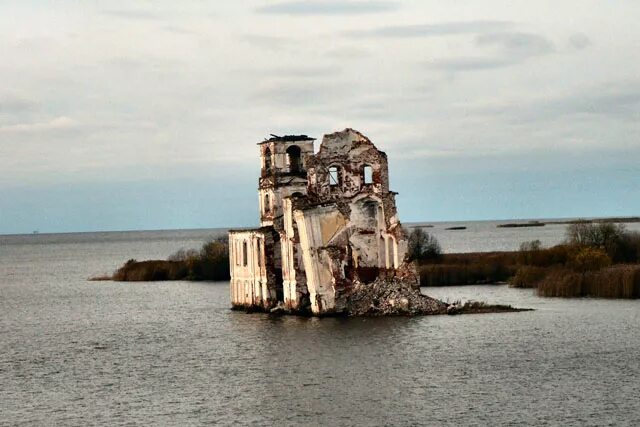 Долгий мох Рыбинск. Долгий мох. Долгий мох Рыбинское водохранилище фото. Рыбинск долгий мох дом 7.