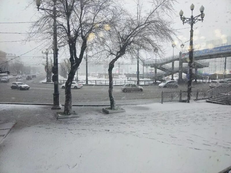 погода в хабаровске сегодня. какая погода в хабаровске. погода в хабаровске. погода в хабаровске 2024 год. снежная погода.