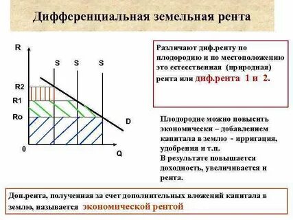 Рента отзывы