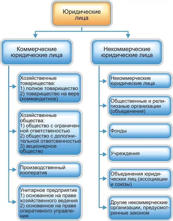 Схема коммерческих организаций и некоммерческих организаций. Коммерческие органищаци. Коммерческие организации. Виды коммерческих и некоммерческих организаций. Юридические лица делятся на коммерческие и некоммерческие.