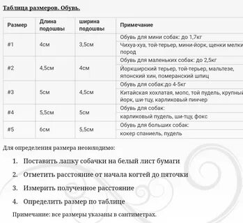 Таблица роста той пуделя по месяцам