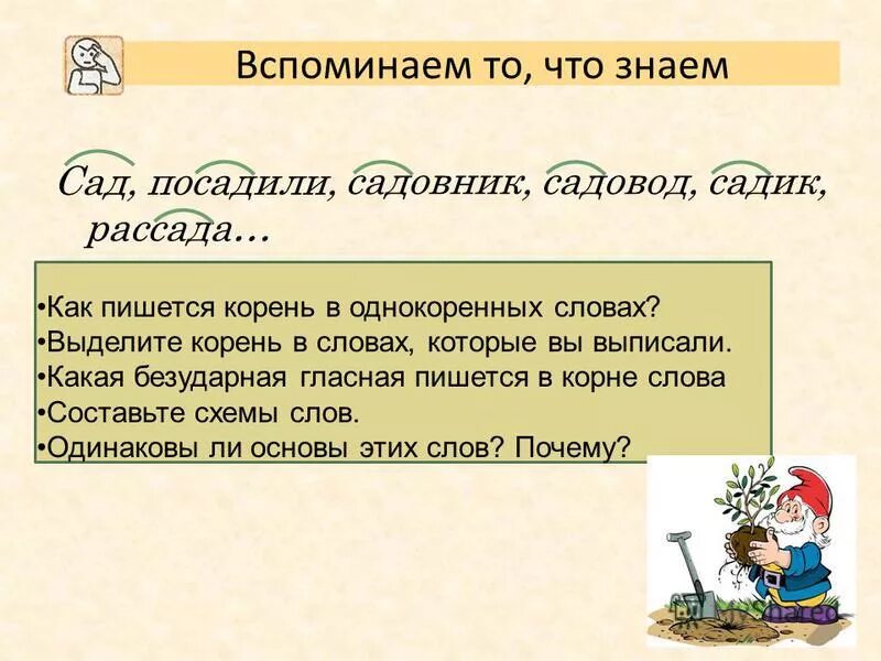 Выделите корень друг. Разбор слова сад. Предложение со словом садовник. Слова со словом сад. Разбор слова по составу сад.