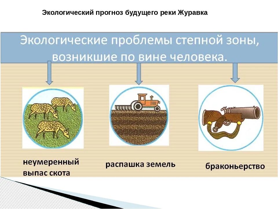 Экологические проблемы Степной зоны. Экологические проблемы в степя. Экологические проблемы зоны степей России. Проблемы Степной зоны России. Экологические проблемы природной зоны лесостепи