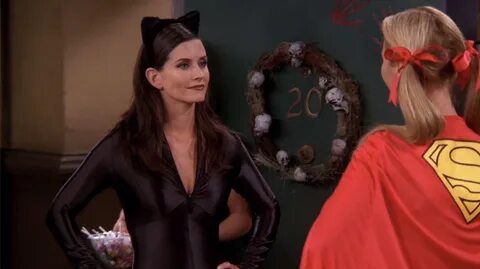 Monica geller catwoman costume